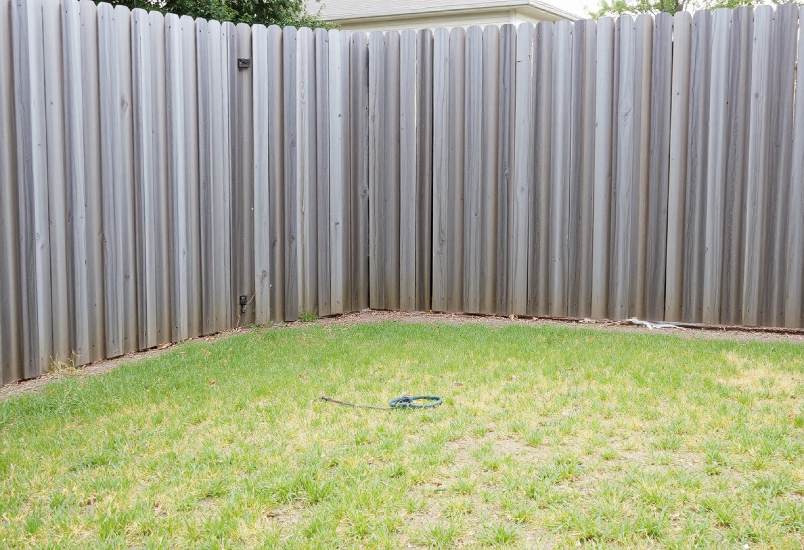 The same backyard corner cleared to the lawn